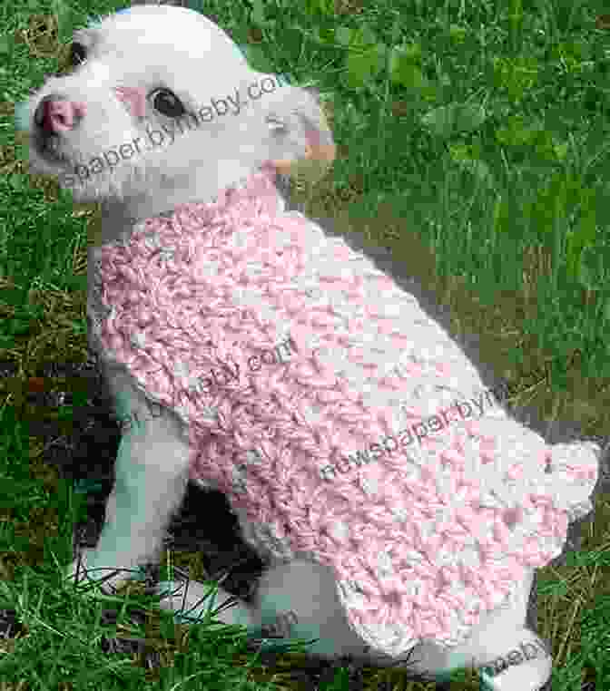 A Beautiful White Crochet Dog Dress Jumper Crochet Pattern CP66 Dog Dress Jumper UK Terminology