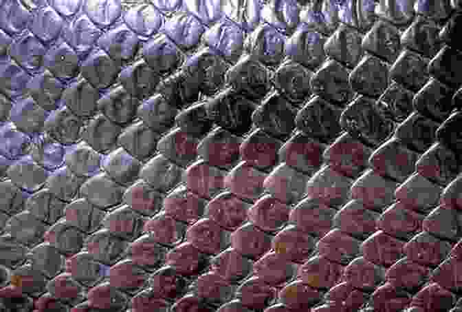 A Close Up Image Revealing The Intricate Patterns Of Snake Scales. Snakes For Kids Amazing Animal For Young Readers