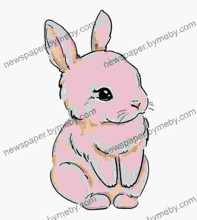 A Cute Bunny Drawing Animals Drawn With Simple Shapes: Adorable Animals Drawing Ideas For Children