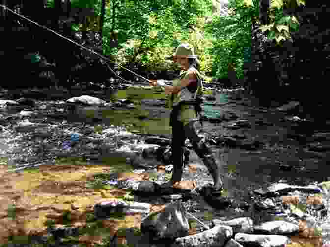 A Fisherman Casting A Line Into A Maryland Trout Stream Guide To Maryland Trout Fishing: The Catch And Release Streams