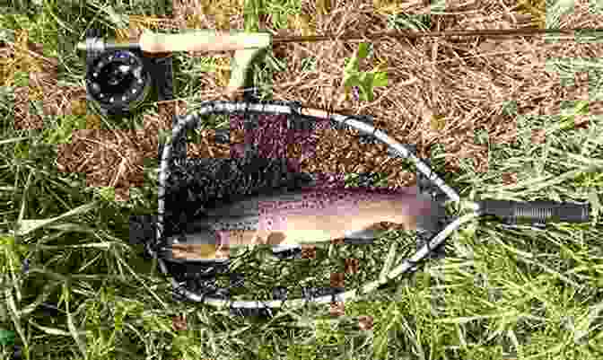 A Fisherman Skillfully Reels In A Glistening Trout, Surrounded By The Vibrant Colors Of Nature Dumb Luck And The Kindness Of Strangers (John Gierach S Fly Fishing Library)