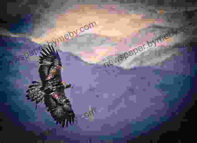 A Golden Eagle Soaring Over The Mongolian Steppe Eagle Dreams: Searching For Legends In Wild Mongolia