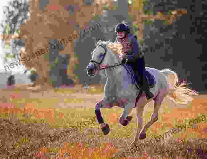 A Horse And Rider Galloping Through A Field Barrel Racing 101: A Complete Program For Horse And Rider