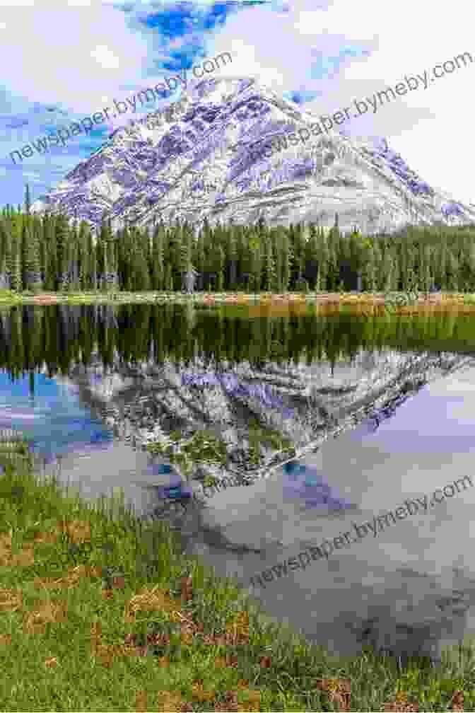 A Pristine Mountain Lake Reflects The Towering Peak Of A Snow Capped Mountain, Surrounded By Lush Meadows And Wildflowers The Mountains Of California John Muir