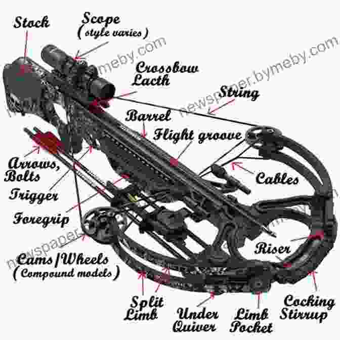 A Selection Of Crossbows, Each With Varying Features And Specifications. The Ultimate Guide To Crossbow Hunting: How To Successfully Bowhunt Big And Small Game Across North America