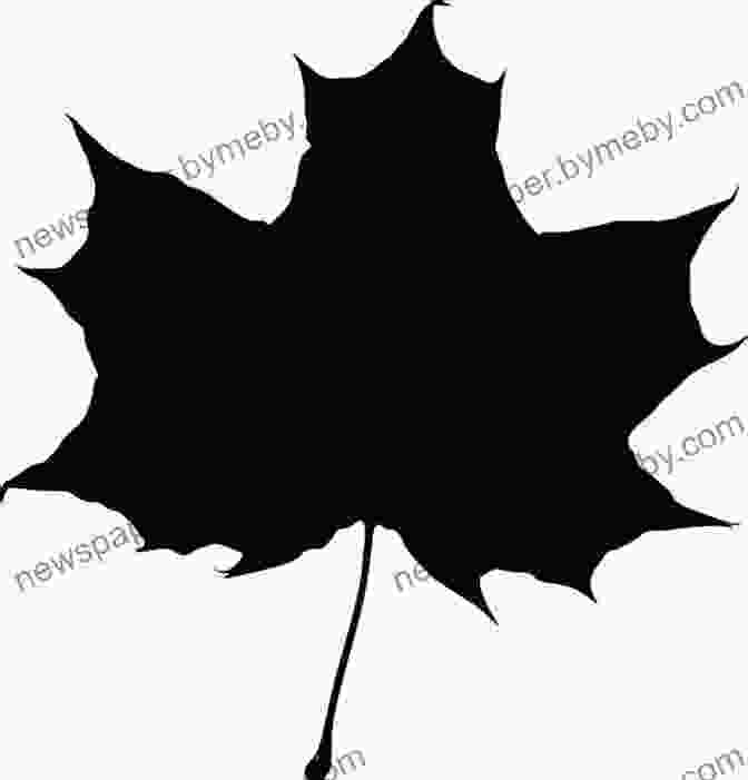 A Silhouette Of A Person With A Maple Leaf Head Lost In North America: The Imaginary Canadian In The American Dream