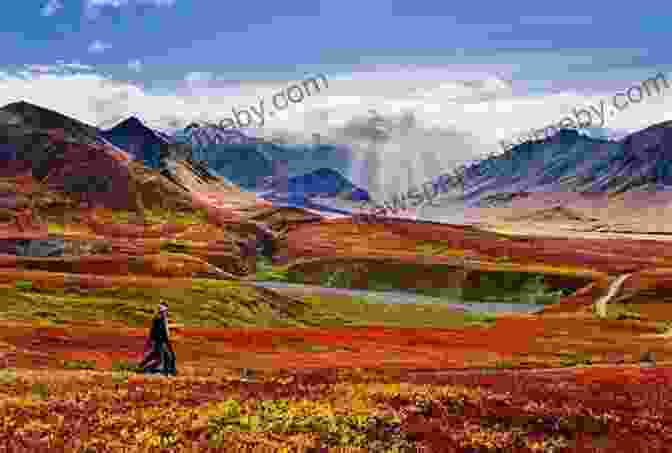 A Woman Journaling In A Picturesque Alaskan Landscape The Alaskan Retreater S Notebook: One Man S Journey Into The Alaskan Wilderness