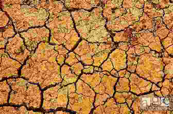 An Image Depicting A Severe Drought, With Cracked Earth And Withered Vegetation. The Collapse Of Complex Societies (New Studies In Archaeology)