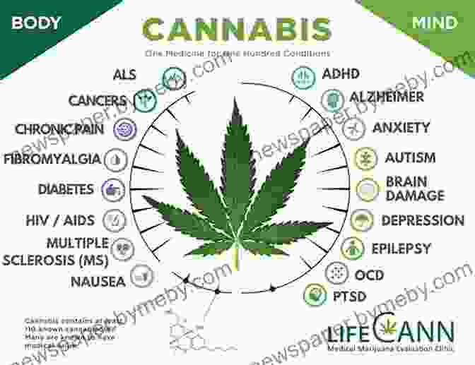 An Image Of Cannabis Being Used For Various Purposes The High Road: A Journey To The New Frontier Of Cannabis