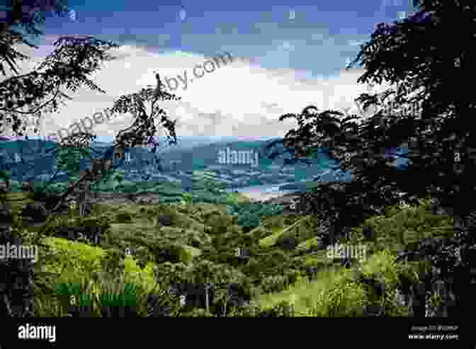 Brazilian Landscape With Rolling Hills And Lush Vegetation Forged By Fire: A History Of German Immigration In Southern Brazil