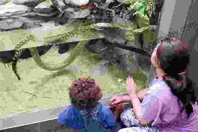 Children Observing Snakes In A Terrarium As Part Of An Educational Activity. Snakes For Kids Amazing Animal For Young Readers