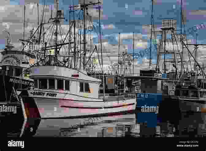 Colorful Boats Docked In The Picturesque Nanaimo Harbour, Framed By The Majestic Coastal Mountains Moon Victoria Vancouver Island: Coastal Recreation Museums Gardens Whale Watching (Travel Guide)