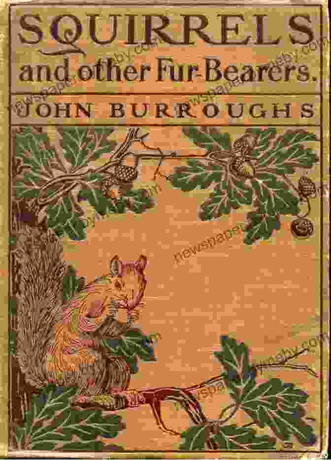 Cover Of Squirrels And Other Fur Bearers By John Burroughs Squirrels And Other Fur Bearers John Burroughs