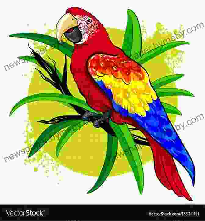 Illustration Of Colorful Parrots Animals: 1 419 Copyright Free Illustrations Of Mammals Birds Fish Insects Etc (Dover Pictorial Archive)