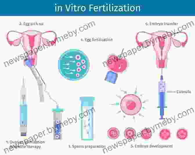 Image Of An IVF Procedure In Progress Your Fertility Your Family : The Many Roads To Conception