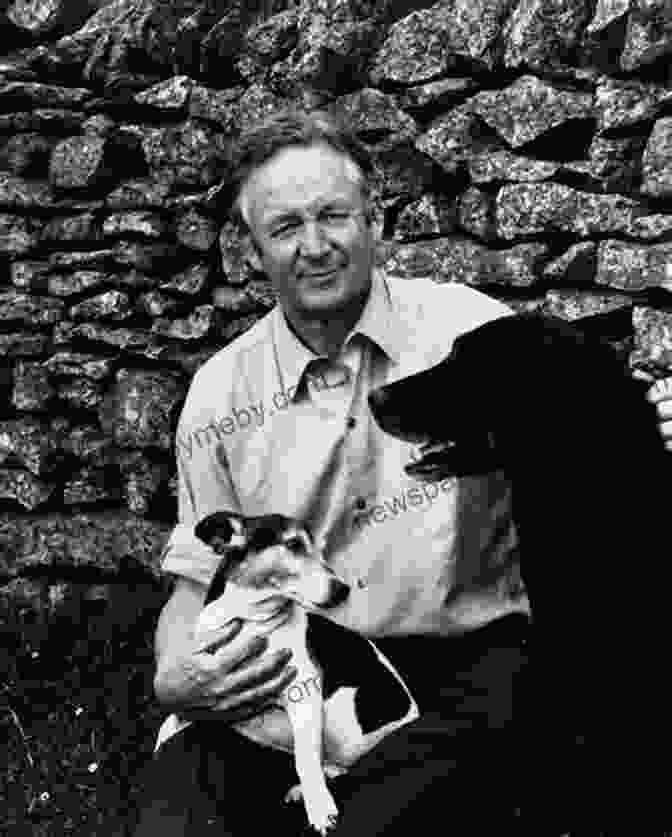 James Herriot At His Writing Desk, Surrounded By Books And Papers. The Real James Herriot: A Memoir Of My Father