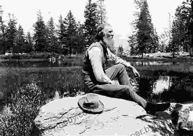 John Muir, A Rugged And Bearded Naturalist, Sits On A Rock In The Wilderness Surrounded By Trees And Mountains The Mountains Of California John Muir