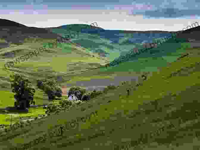 Panoramic View Of The Cheviot Hills, With Rugged Peaks And Rolling Hills Stretching Into The Distance The Marches: A BFree Downloadland Journey Between England And Scotland