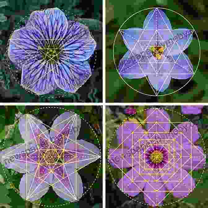 Sacred Geometry In Nature The Secret Of The Temple: Earth Energies Sacred Geometry And The Lost Keys Of Freemasonry