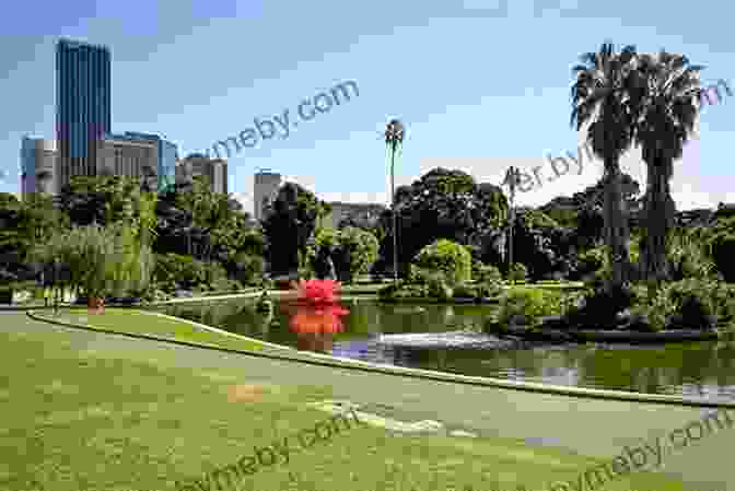 The Lush Gardens Of The Royal Botanic Garden And The Domain Sydney Local Travel Guide 2024 : Top 20 Local Places You Can T Miss In Sydney Australia