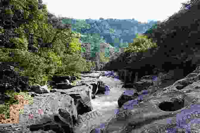 The Magdalena River Flowing Through The Magdalena Valley Magdalena: River Of Dreams: A Story Of Colombia