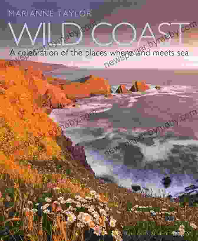 The Wild Coast Volume Cover Featuring A Stunning Coastal Landscape With Vibrant Colors And Dramatic Cliffs The Wild Coast Volume 1: A Kayaking Hiking And Recreation Guide For North And West Vancouver Island