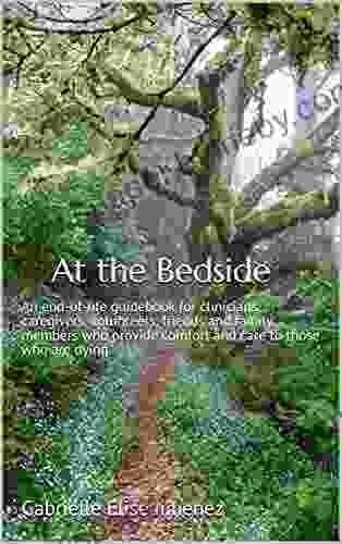 At The Bedside: An End Of Life Guidebook For Clinicians Caregivers Volunteers Friends And Family Members Who Provide Comfort And Care To Those Who Are Dying