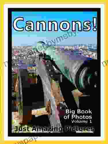 Just Cannon Photos Big of Photographs Pictures of Cannons Artillery Vol 1