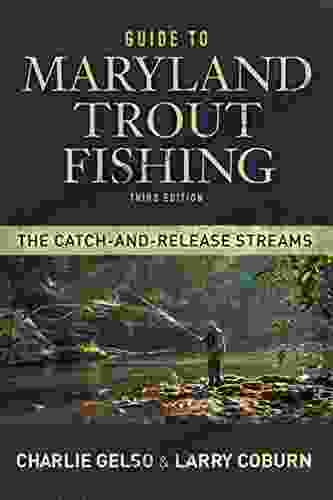 Guide To Maryland Trout Fishing: The Catch And Release Streams