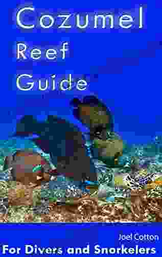 Cozumel Reef Guide: For Divers And Snorkelers